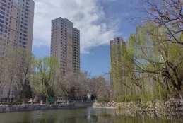 禁止垂釣，釣還是不釣？