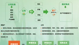 如何推進生豬養殖「新質生產力」？四川電視台聚焦新希望創新實踐