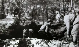 1951年，一戰士違抗軍令朝天連放14槍，嚇壞戰友，彭總：連升3級