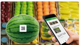 農產品品質追溯系統，強化食品產業鏈透明度的關鍵工具
