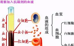 有研究表明防曬成分會進入血液，對人體有害，不願意女朋友每天塗厚厚的防曬，女朋友因此不開心了，怎麽辦？