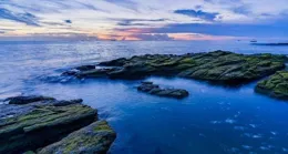 午時魚難釣？看完這些招數你就知道，午時魚不過如此