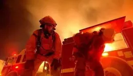 「涼山孟陽」們，可恨在哪？