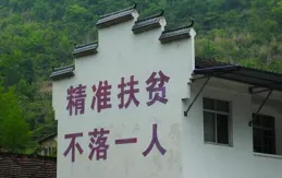 「家族勢力」左右選舉，農村民主行程是否會因此受挫？