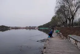 釣魚日記——2024年3月31日（上莊水庫南岸夜釣）