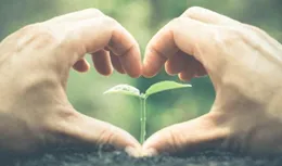 面對挫折，真正的治愈來自於內心的格局