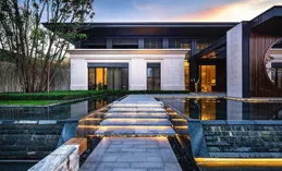 【草木人間】訪談爆火：深度娛樂，探索心靈的新境界