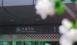 地鐵直達！來長沙賞花吧→