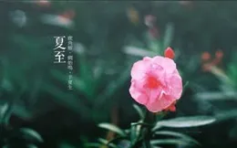 中國傳統節日、二十四節氣系列小知識——清明