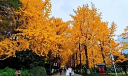 社交中36條黃金定律，一定會讓你明白很多道理