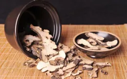 脾越虛，濕越重，一張方把陽氣補到根上，痰濕無處躲