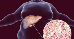 春季「壯膽」高招，守護心、肝、胃健康！