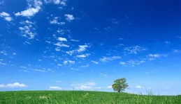 玄易智慧說：2024年財運旺盛的三大屬相