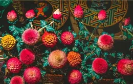 元尊漫畫最新話 合力撼聖(4.1更)