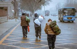 農村勞動力紛紛進城，鄉村振興究竟靠什麽砥柱中流？