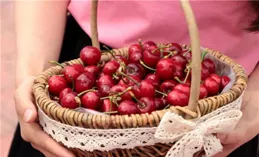 再尋桃花源·鄉情篇——任建國中國畫作品展在寧波開幕