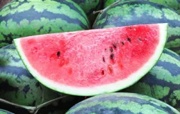 去濕氣的八種水果，你喜歡吃嗎？