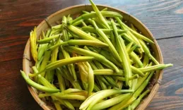 科普專家說 | 清明養生，重在防風護肝