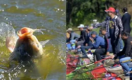 53歲李嘉欣帶火了「港風」穿搭，白色POLO衫 牛仔裙，時尚