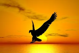 幾號出生的天蠍座最強