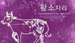 5月金牛座必看：五月上旬運勢全解析