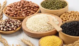 主食、蛋白質、蔬菜、水果如何搭配?