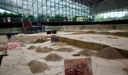 01年四川金沙挖出千根象牙，不料剛挖到一半，專家：快點埋掉 別碰