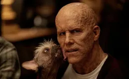 【盤點】淺析2024清明檔影片