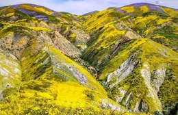 清明·緬懷|父親的夢想