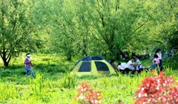 組圖｜鴨嘴公園：滿地翠綠好春光