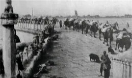 台兒莊大捷：中國軍隊29萬戰士參戰，傷亡5萬，共殲滅多少日軍？