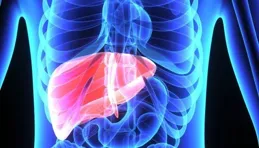 中山六院李孟鴻團隊揭秘：CSN6是如何調控肥胖人群肝細胞癌進展的？