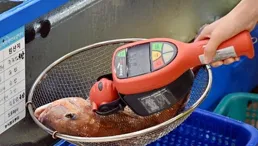 韓媒：南韓老齡化嚴重，一半選民超過50歲