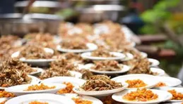 七律·詩吟宋向輝老師（二首）/王開天