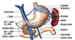 死亡率極高！女子一頓飯後狂吐2斤血！醫生一查驚了……