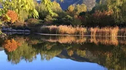 垂釣光陰，不如垂釣自己