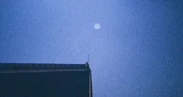 世間若真失了光明