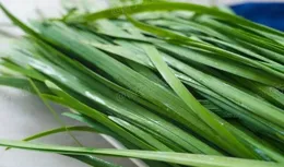 春天養肝「第一菜」，補腎還能活血，肝臟不好的中老年人要多吃