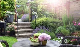 養花，能夠沐浴我們心靈，盡享寧靜與平胡，你知道的好處有哪些？