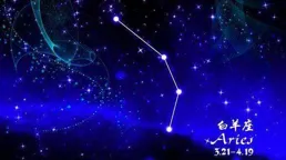 雙魚座眼中的其他星座