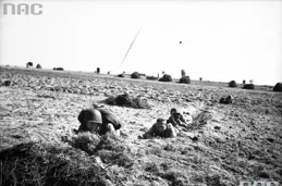 平獨鎮露大波波許麽梗？