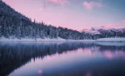 5.19-7.19，運氣爆棚，諸事順心，事業巔峰，碩果累累的4個生肖