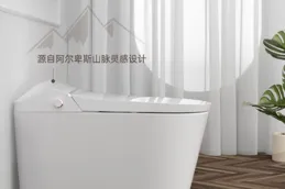 求大佬推薦一款智慧馬桶？