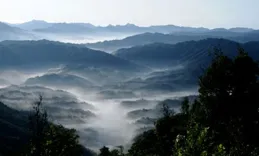 貴州仁懷——沈睡的林地資源正「醒」來