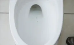 衛生間的馬桶堵塞了怎麽辦？