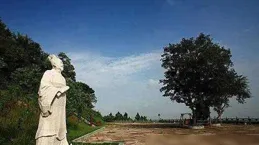 徐福東渡，一場煉丹導致的出逃事件，無意中改變了亞洲的歷史走向