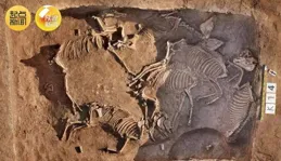 秦國器物為何進入楚王墓葬？從這件新出土文物探秘戰國風雲