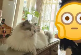 你的寵物如果有微信簽名，會寫什麽？