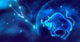 金牛座的數位3魅力：創意與穩定的融合，色彩與形狀的穿搭藝術