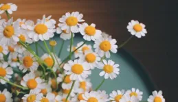 無法接納別人，防備心很重的星座